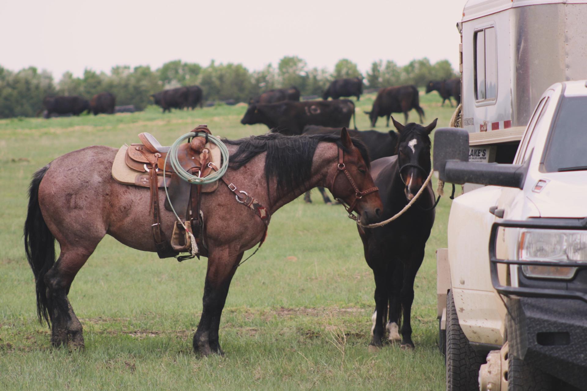 502752479_23961117166846692_5663721714564528105_n