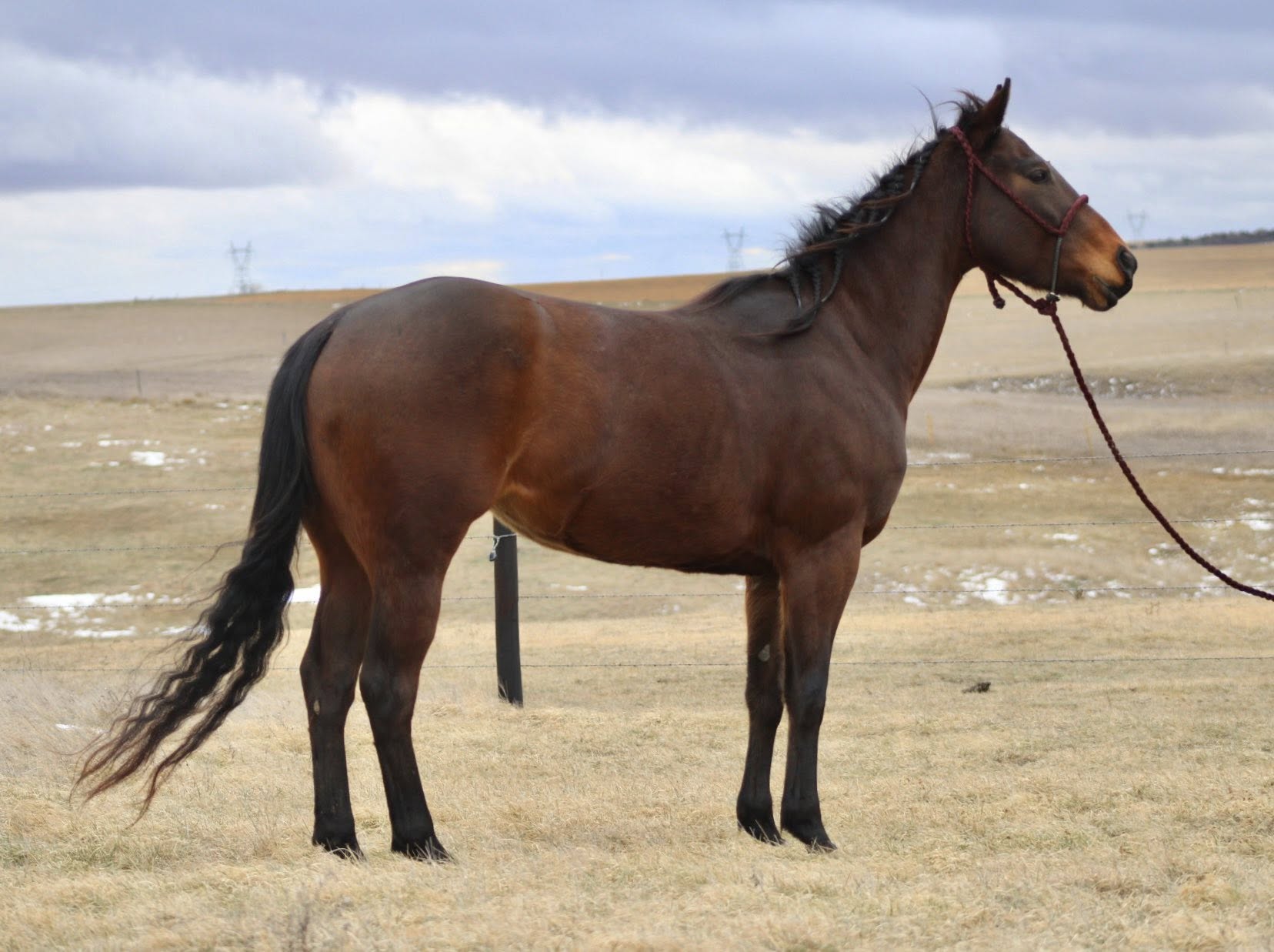 594444440_25555748264050233_4904582646625539838_n